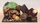 candy bar, gourmandise, bonbon, chocolat, deau, chocolat, création, chocolat, artisan chocolatier, jp paci, nice cannes
