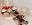 gourmandise, cupcake, pommes d amour, kouglof, cadeau, chocolat, création, chocolat, artisan chocolatier, jp paci, nice cannes
