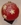 chocolat, noel, creation, chocolatier, nice, cannes, artisan, jp paci
