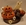 Famille citrouille, halloween, citrouille, chocolat, creation, jp, paci, artisan, chocolatier, nice, cannes