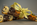 cranes, halloween, citrouille, chocolat, creation, jp, paci, artisan, chocolatier, nice, cannes